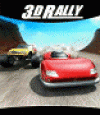 3D Rally 2009